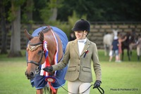 Championnat Compiégne Hunter 2019