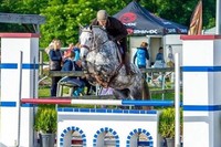 Championnat meeting proprietaire Hunter Amateur 2017
